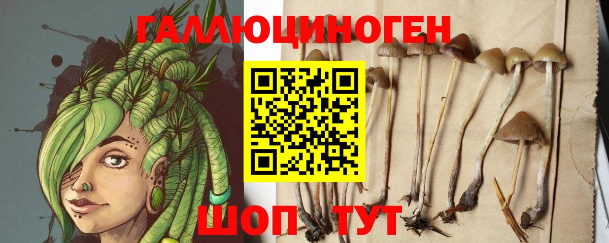 Псилоцибиновые грибы мицелий Хабаровск